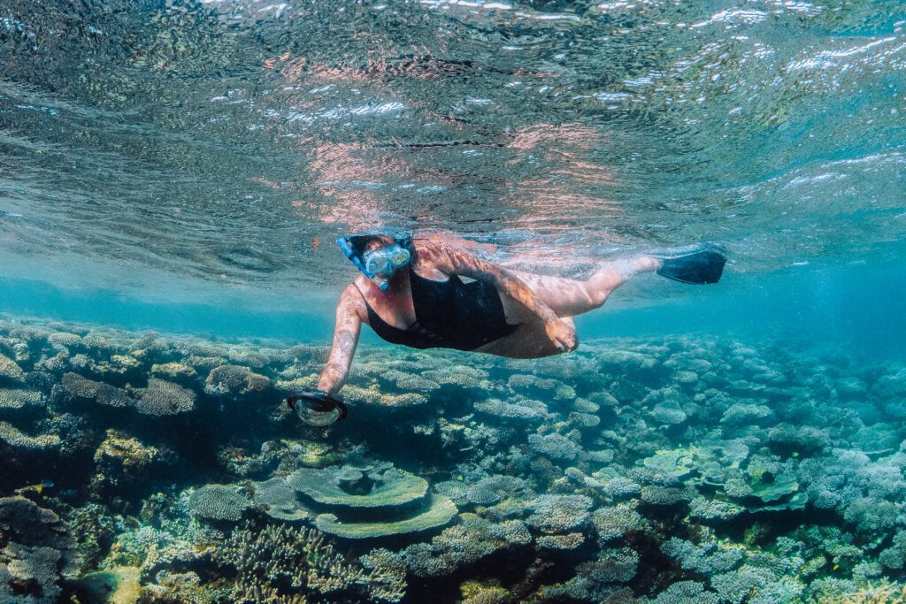 Snorkeling in Coral Bay