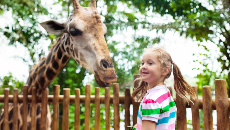 The 5 best children's activities in Perth to wear out your little ...