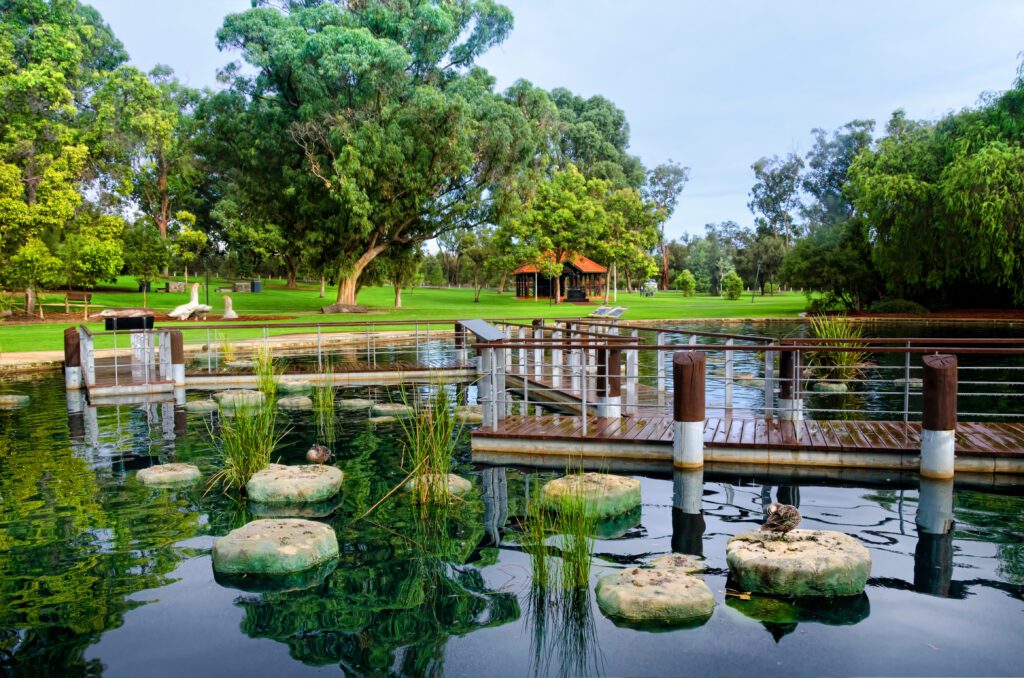 Kings Park Perth water garden