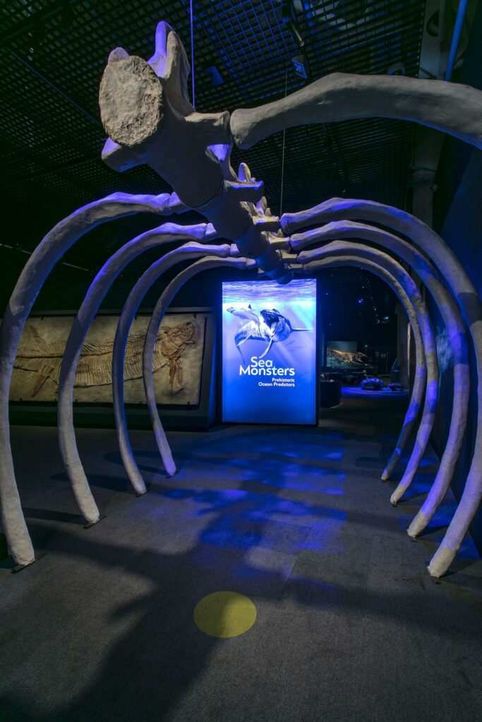Sea monsters exhibition